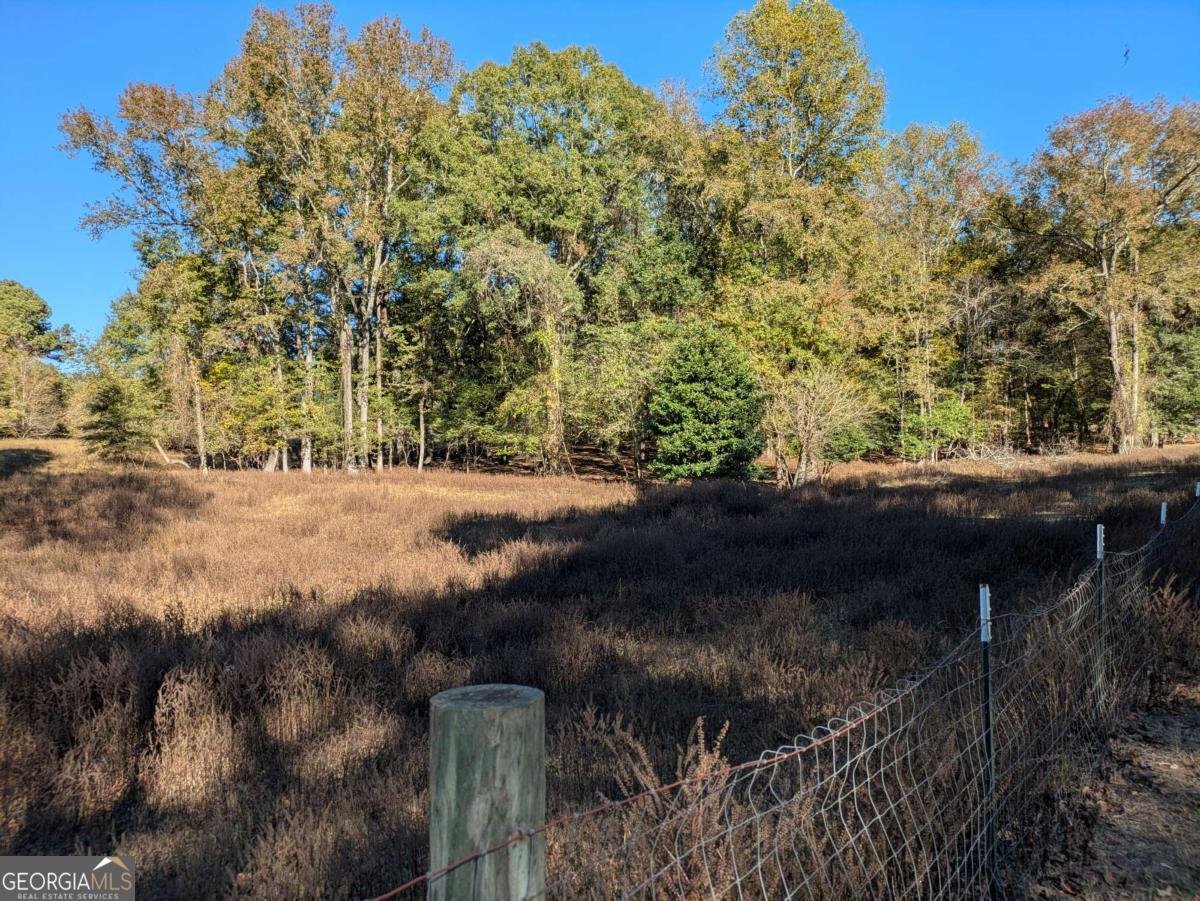 12741 Alcovy Road Covington - 9