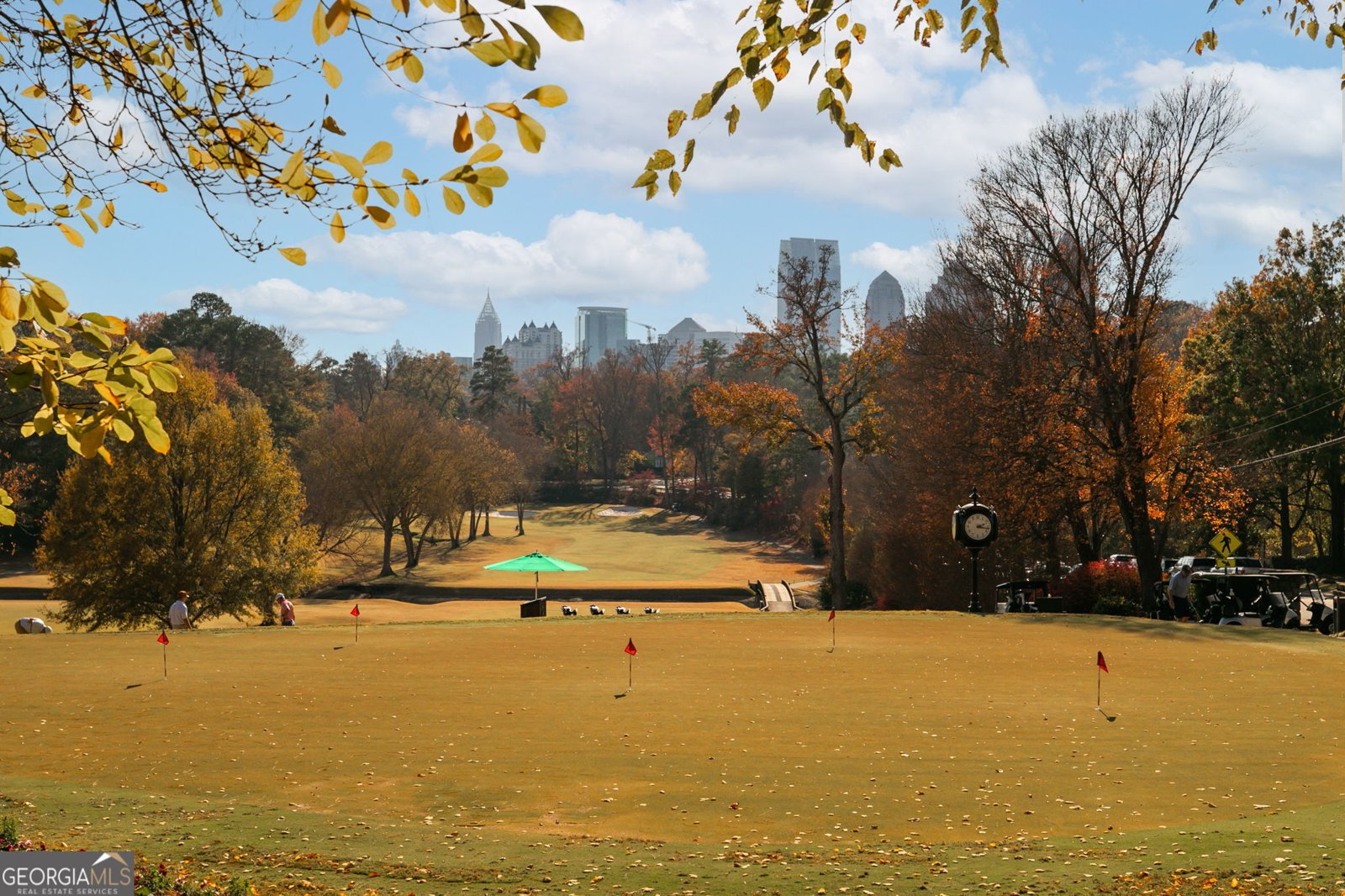 585 Sherwood Road Atlanta - 72