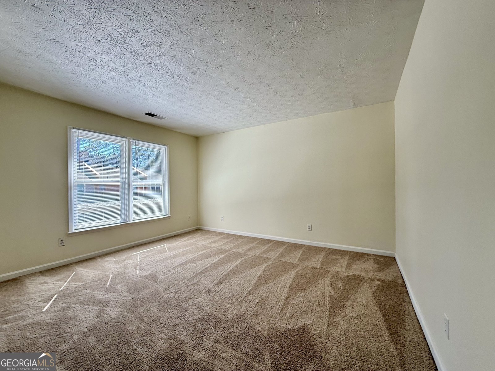 3533 Mulberry Way Duluth - 30