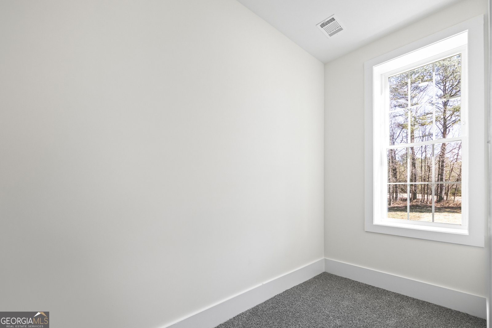 737 Broad River Road Carlton - 72