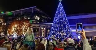 54 Basswood Circle Sandy Springs - 16