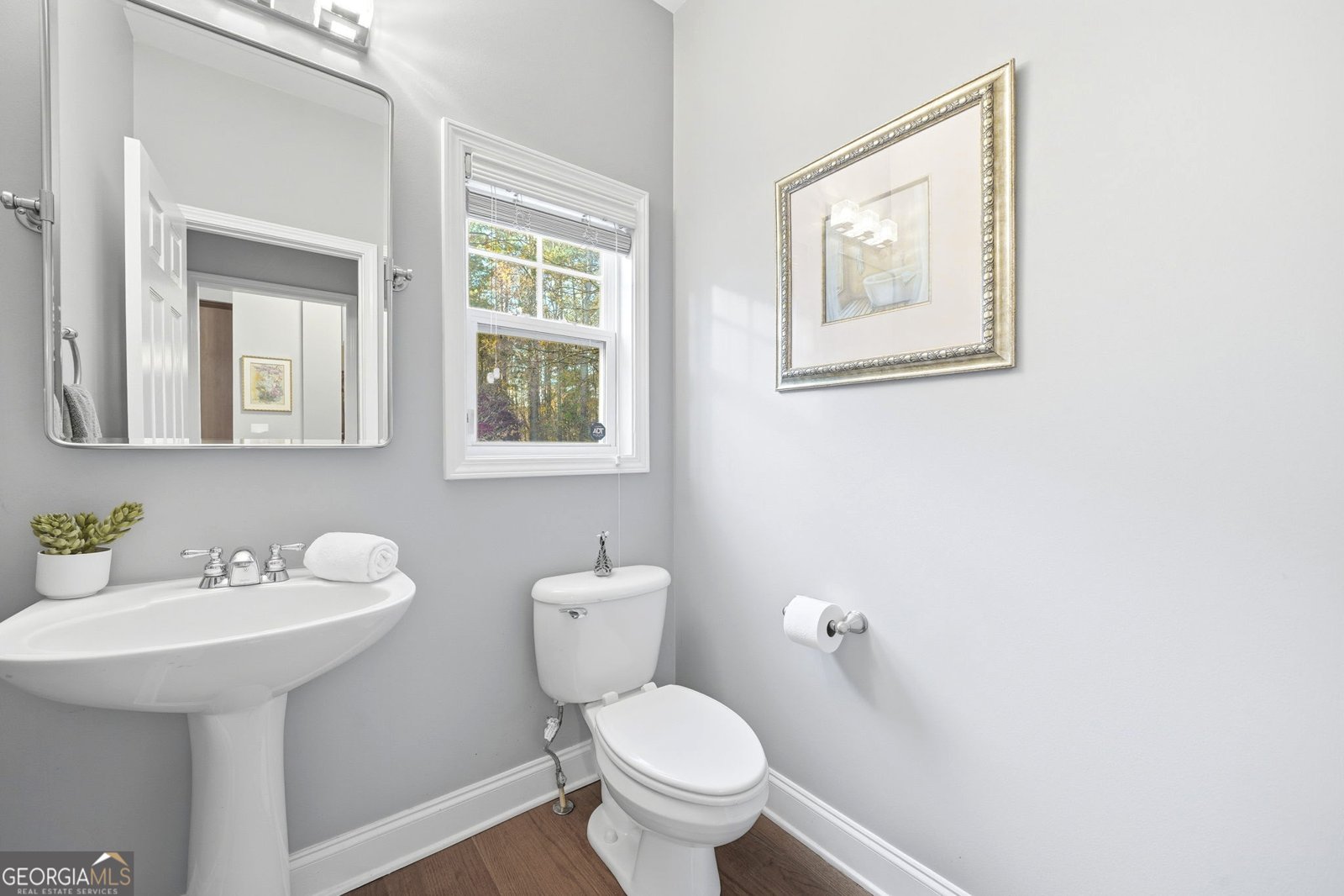 320 Snowgoose Court Alpharetta - 19