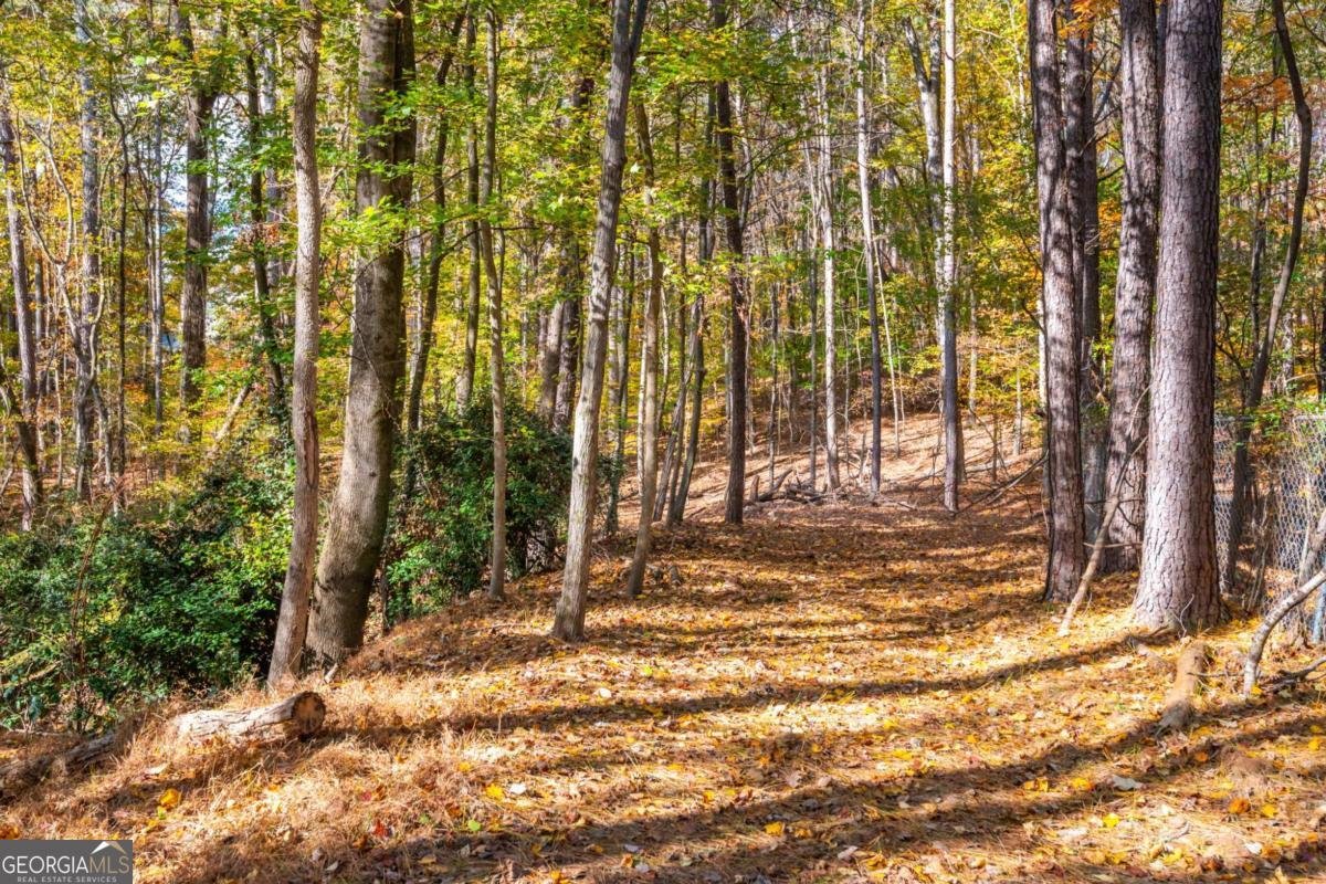 2640 Holcomb Springs Drive Alpharetta - 30