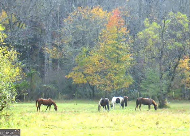 166 Quail Point Sautee Nacoochee - 44