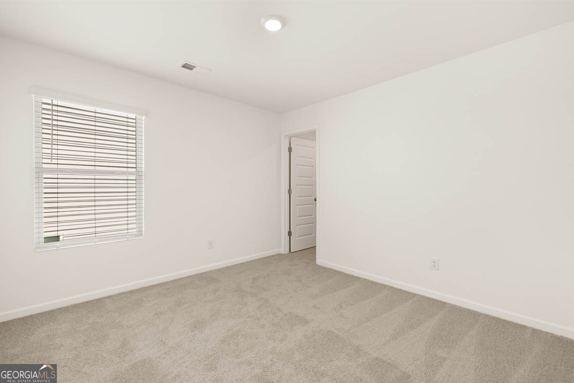 217 Lauritsen Way Newnan - 31