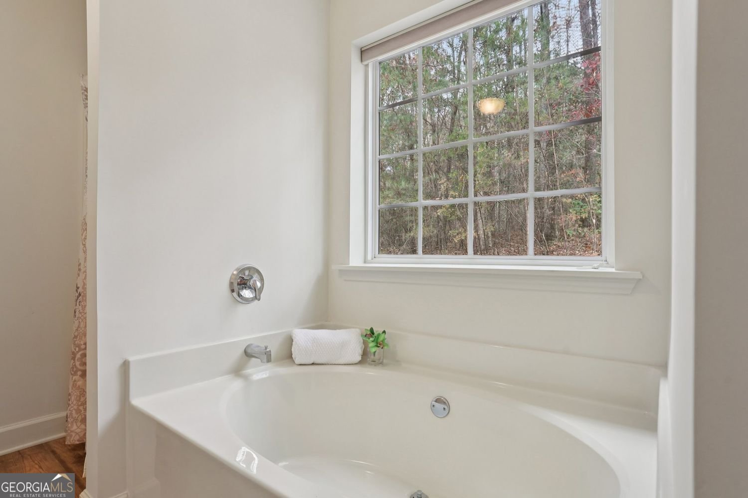 4542 Clear Creek Road Ellijay - 21