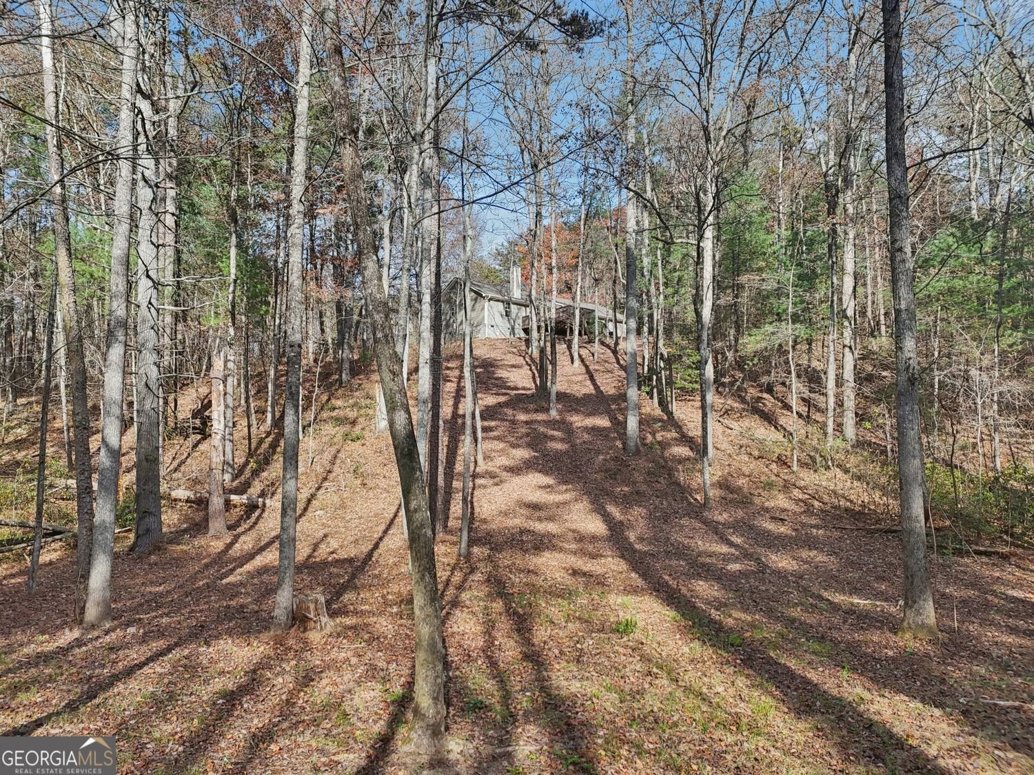 4542 Clear Creek Road Ellijay - 41