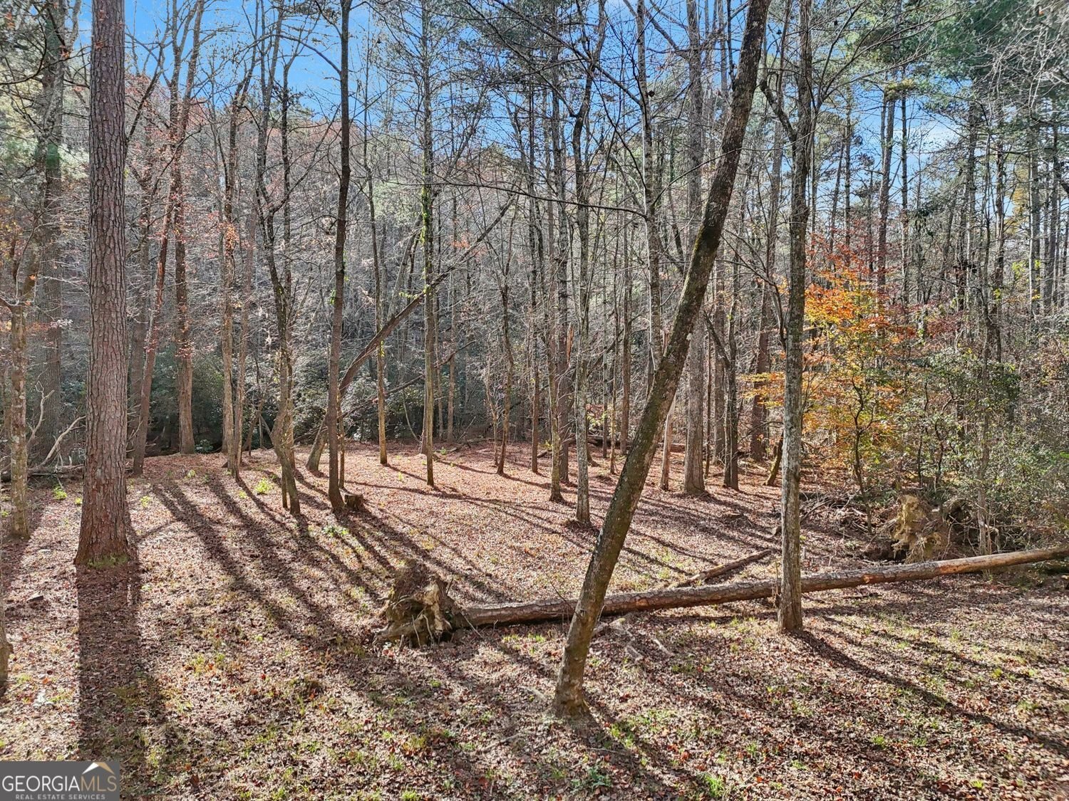 4542 Clear Creek Road Ellijay - 42