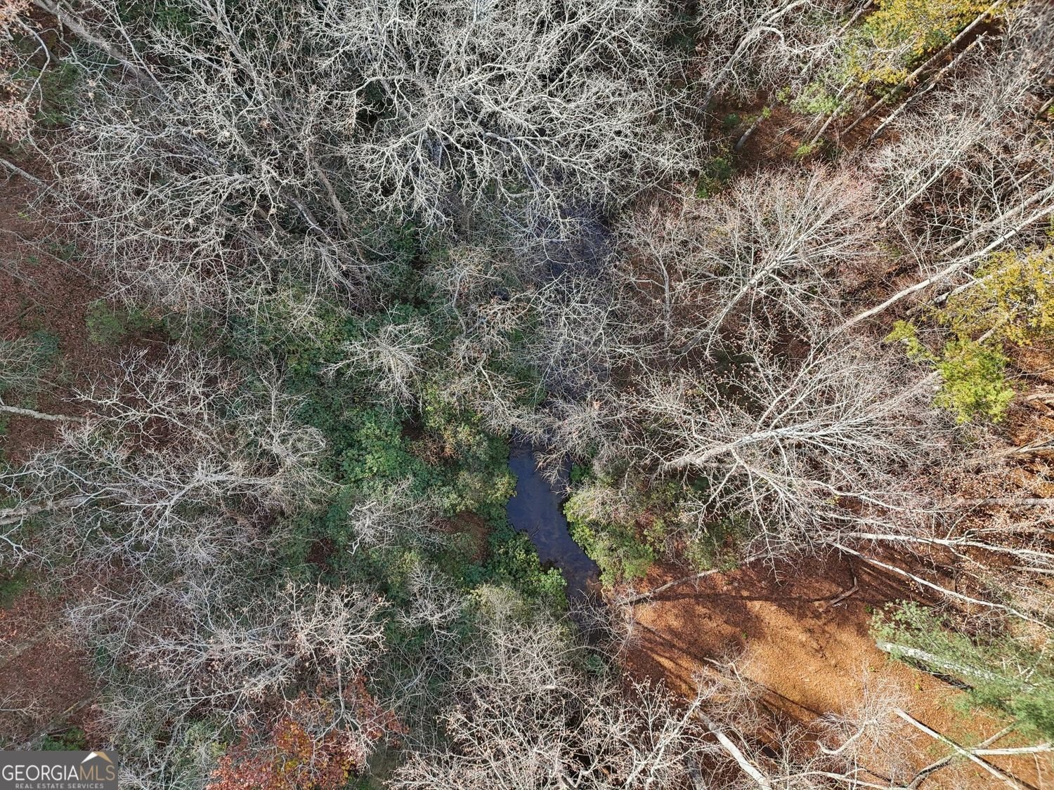 4542 Clear Creek Road Ellijay - 43