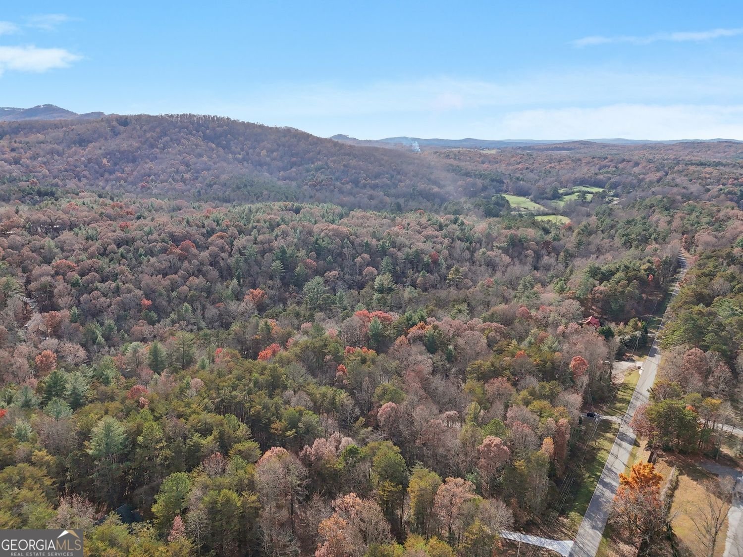 4542 Clear Creek Road Ellijay - 50