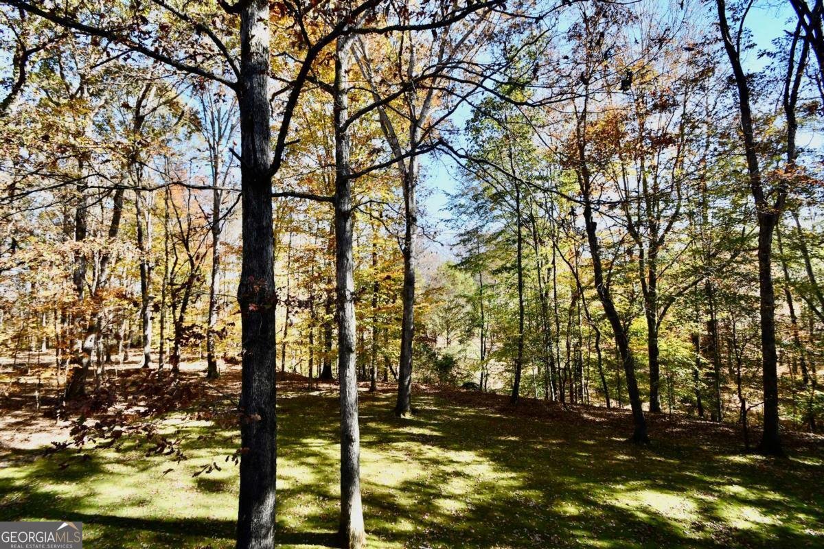 218 Thornhill Drive Athens - 32