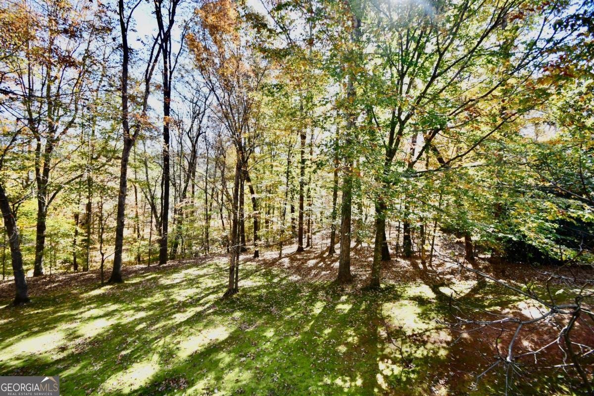 218 Thornhill Drive Athens - 33