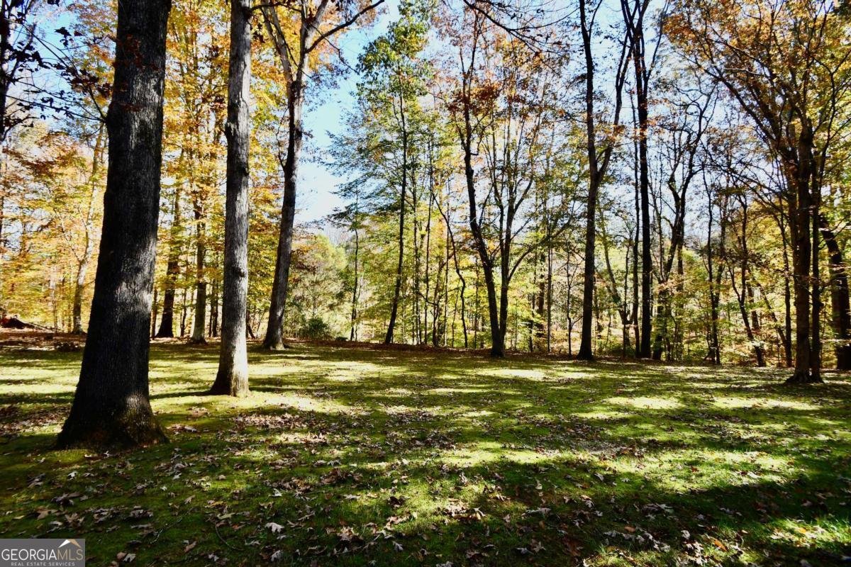 218 Thornhill Drive Athens - 36