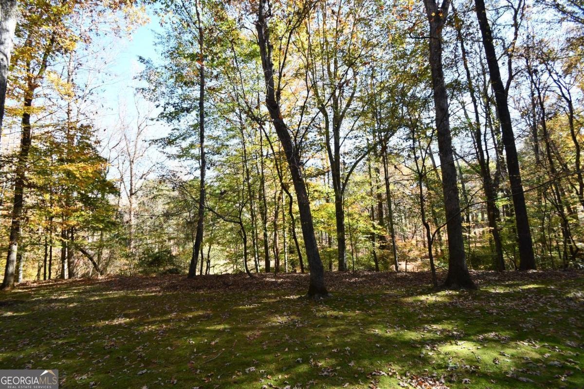 218 Thornhill Drive Athens - 37