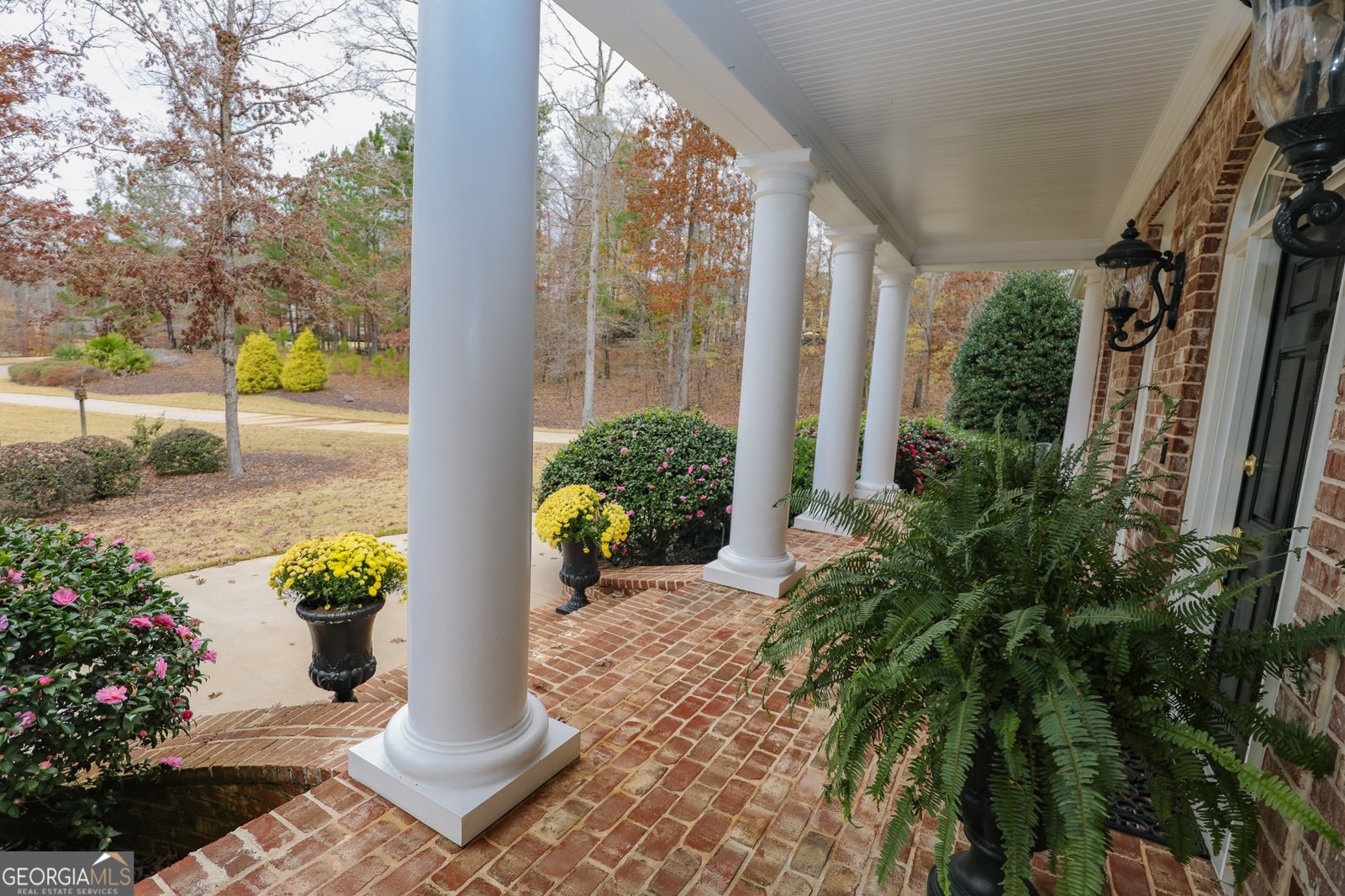 48 Fern Leaf Way Newnan - 8