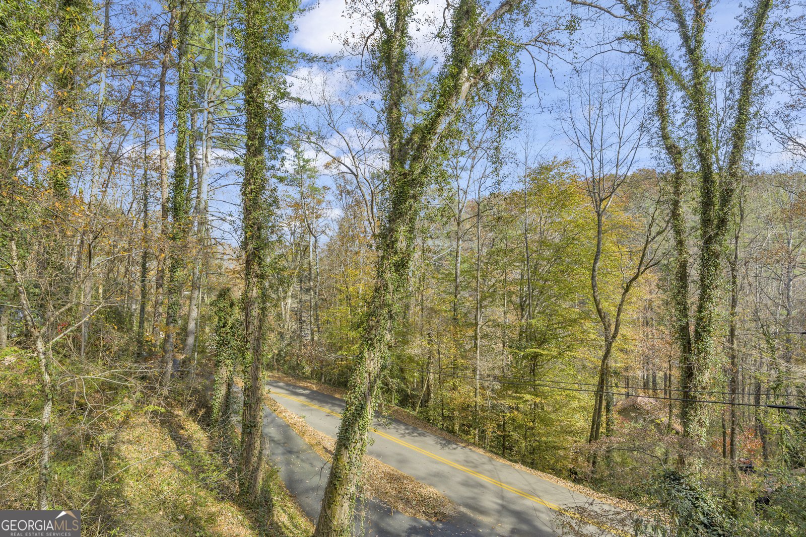 243 Ridge Road Helen - 55