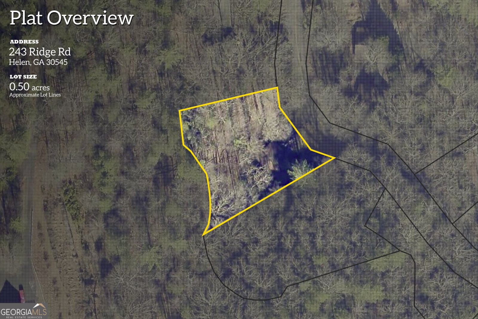 243 Ridge Road Helen - 59