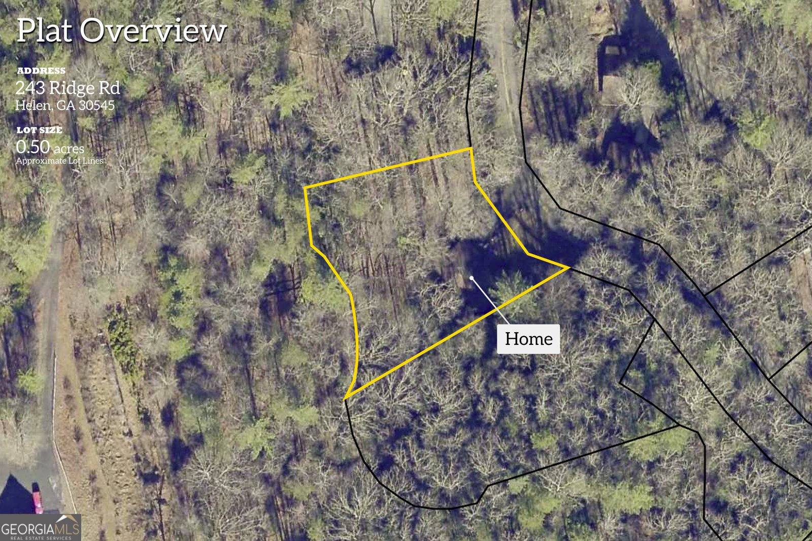 243 Ridge Road Helen - 61