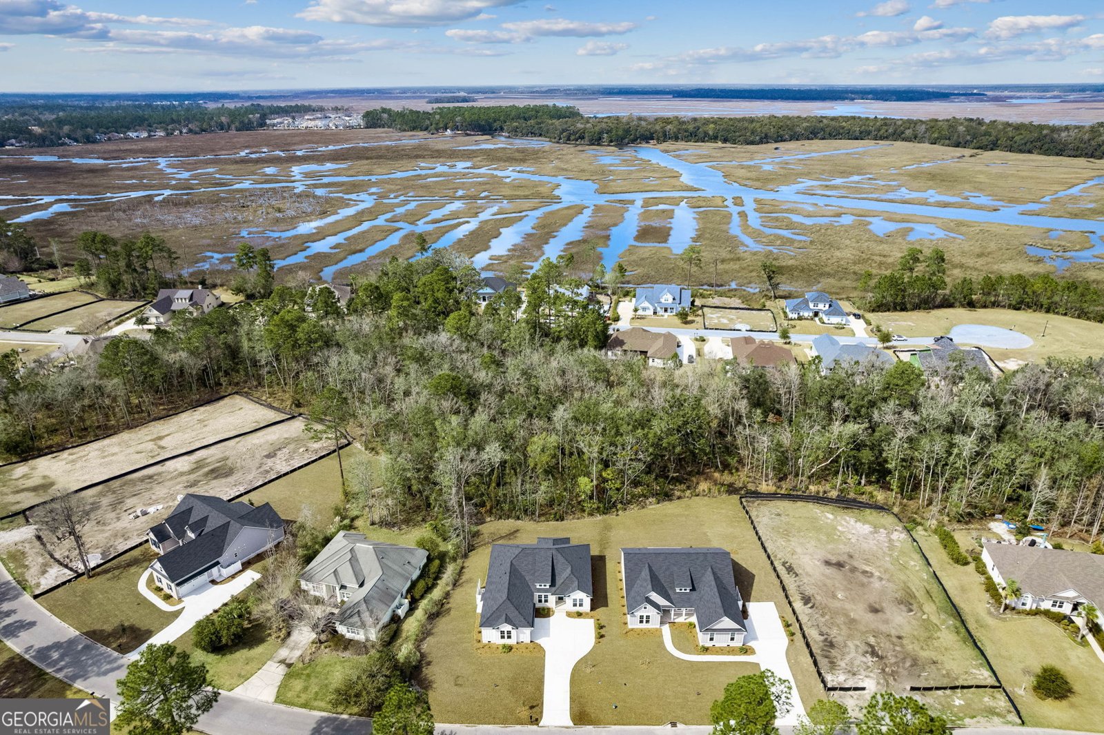 113 Tidal Marsh Way St. Marys - Photo 46