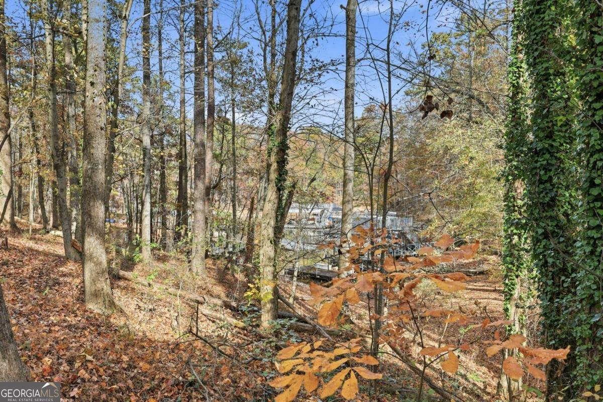 9060 Ruby Lane Gainesville - 25