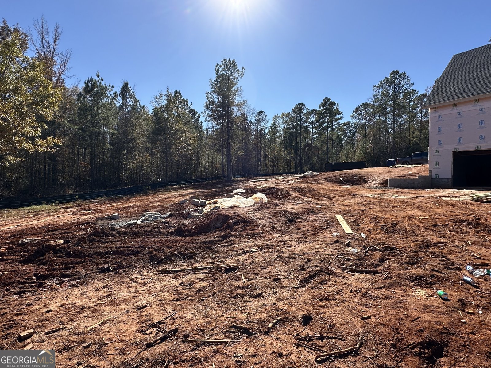 151 Nancy Lane Forsyth - 10