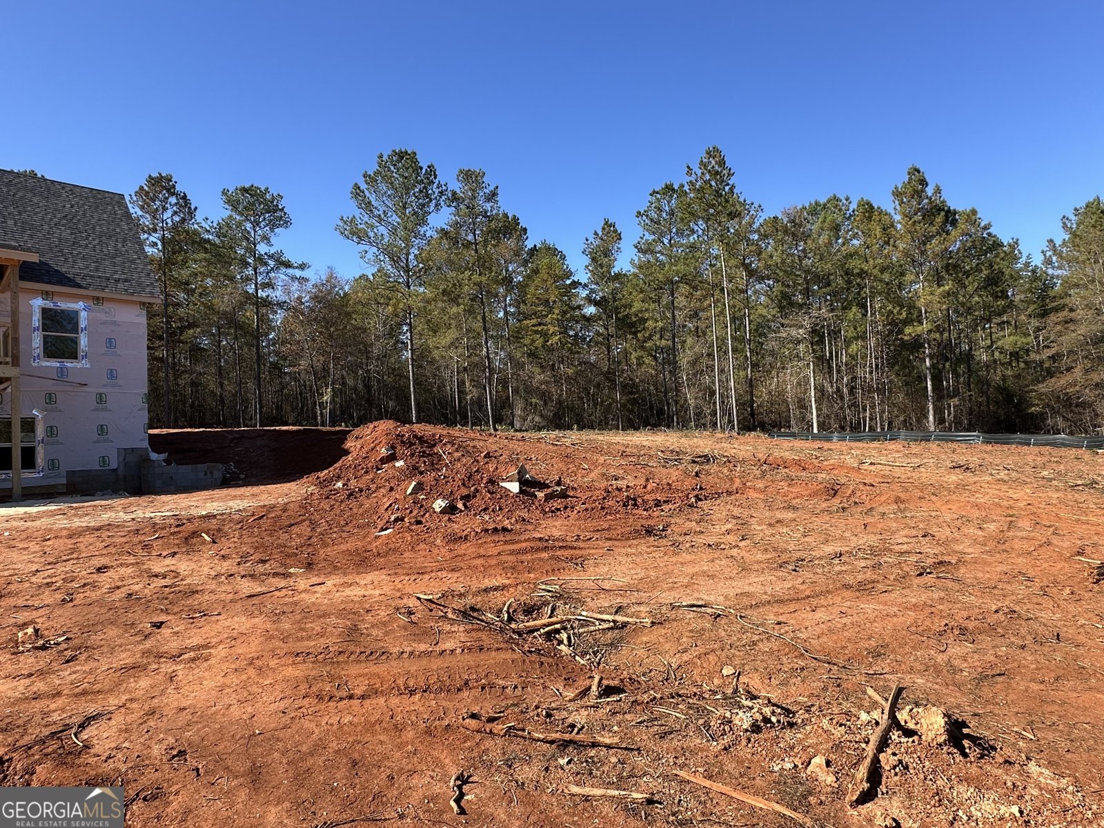 151 Nancy Lane Forsyth - 11