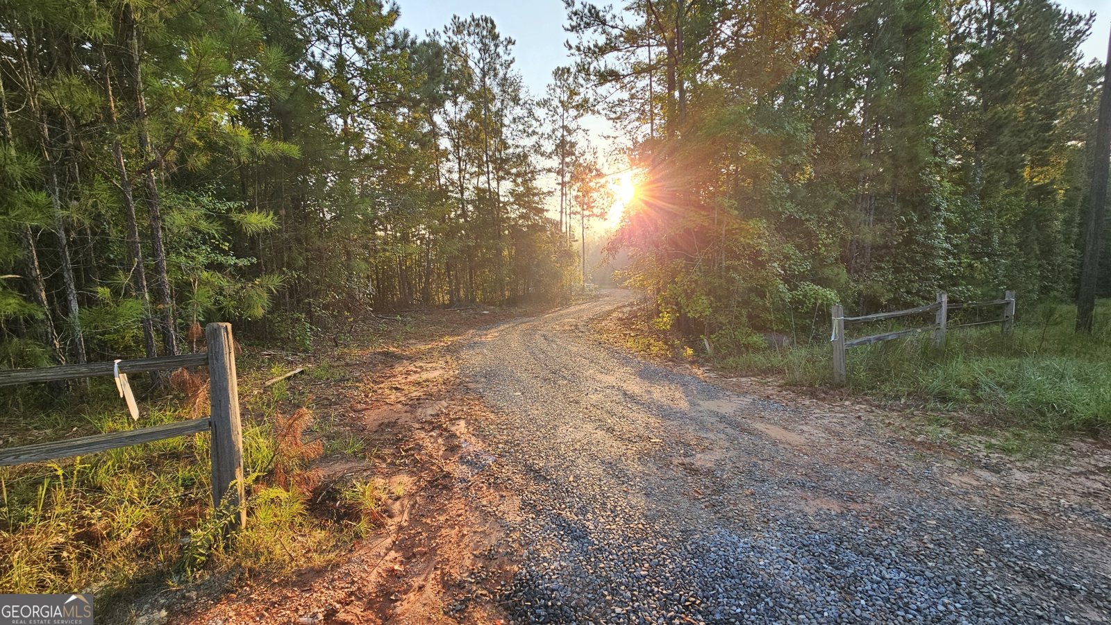 151 Nancy Lane Forsyth - 6