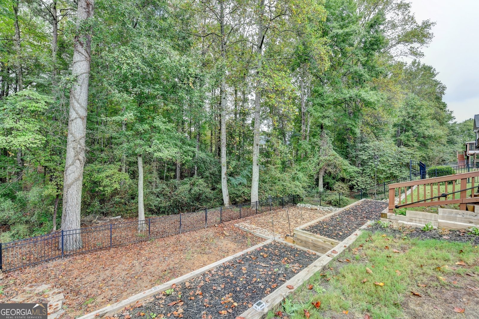 4614 Austin Hills Drive Suwanee - 12