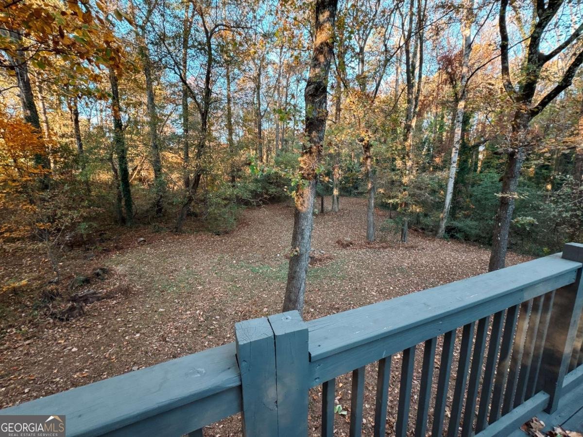 4116 Robert Allen Road Douglasville - 16