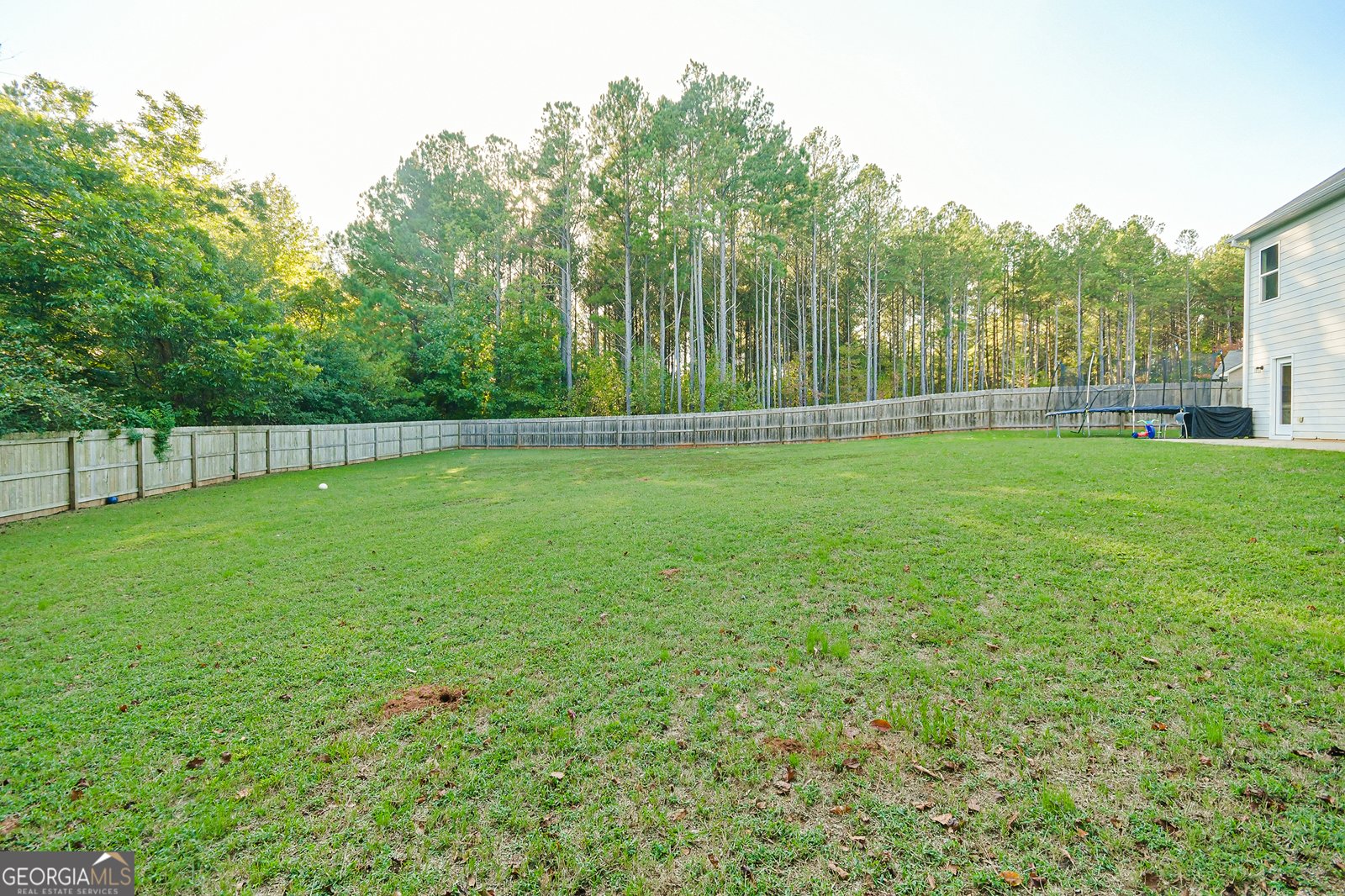 387 Fern Court Hoschton - 4