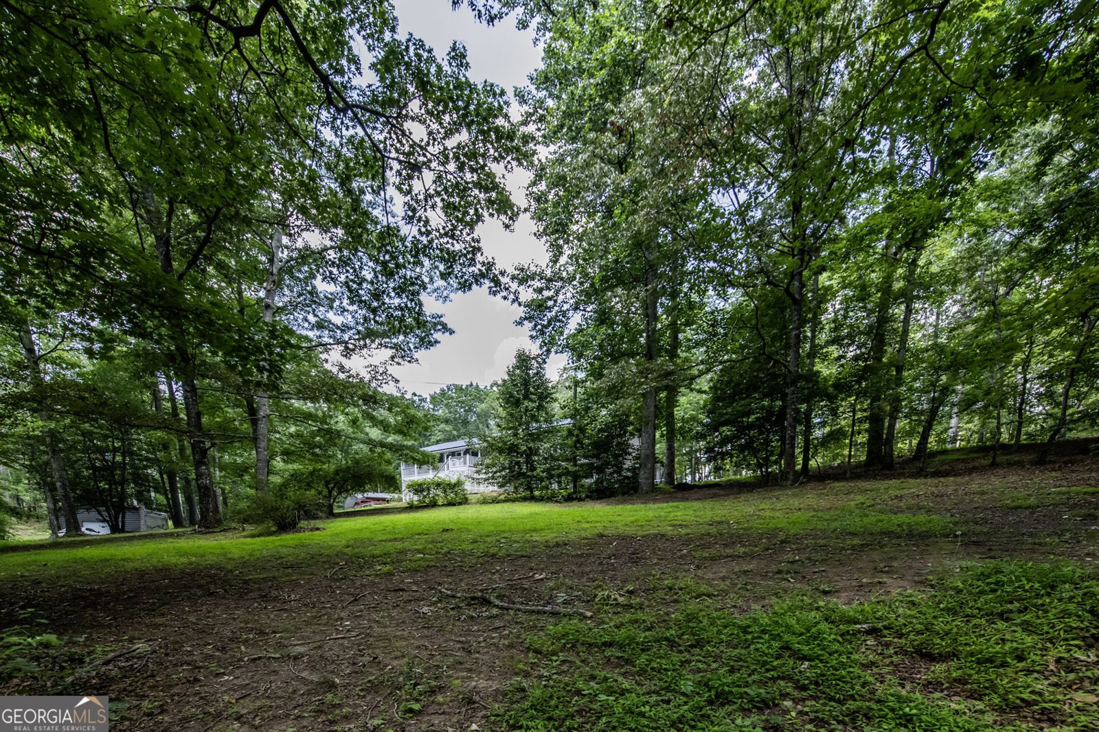 261 Clayton Trail Canton - 10