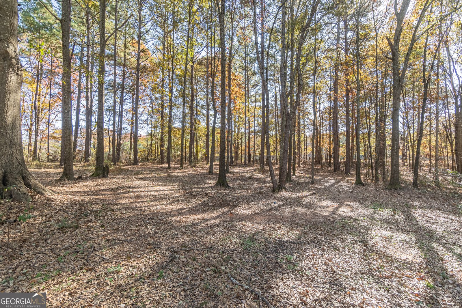 867 WINDWARD Road Winder - 39