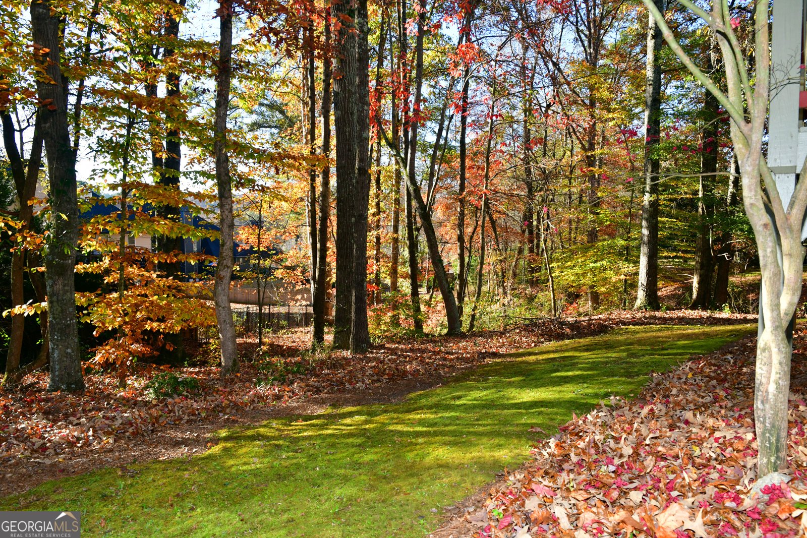 1767 Honey Tree Place Hoschton - 49