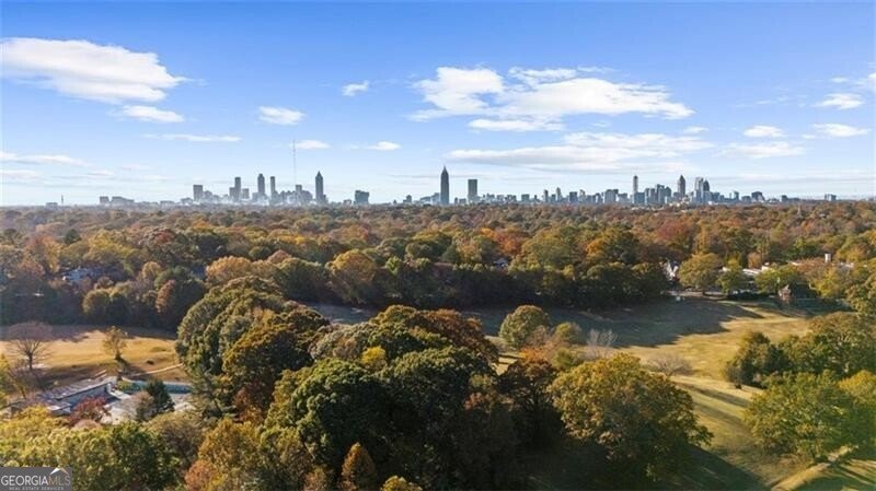 501 Terrace Avenue Atlanta - 78