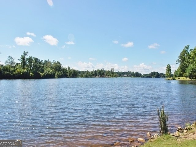 5 Corbel Way Newnan - 60