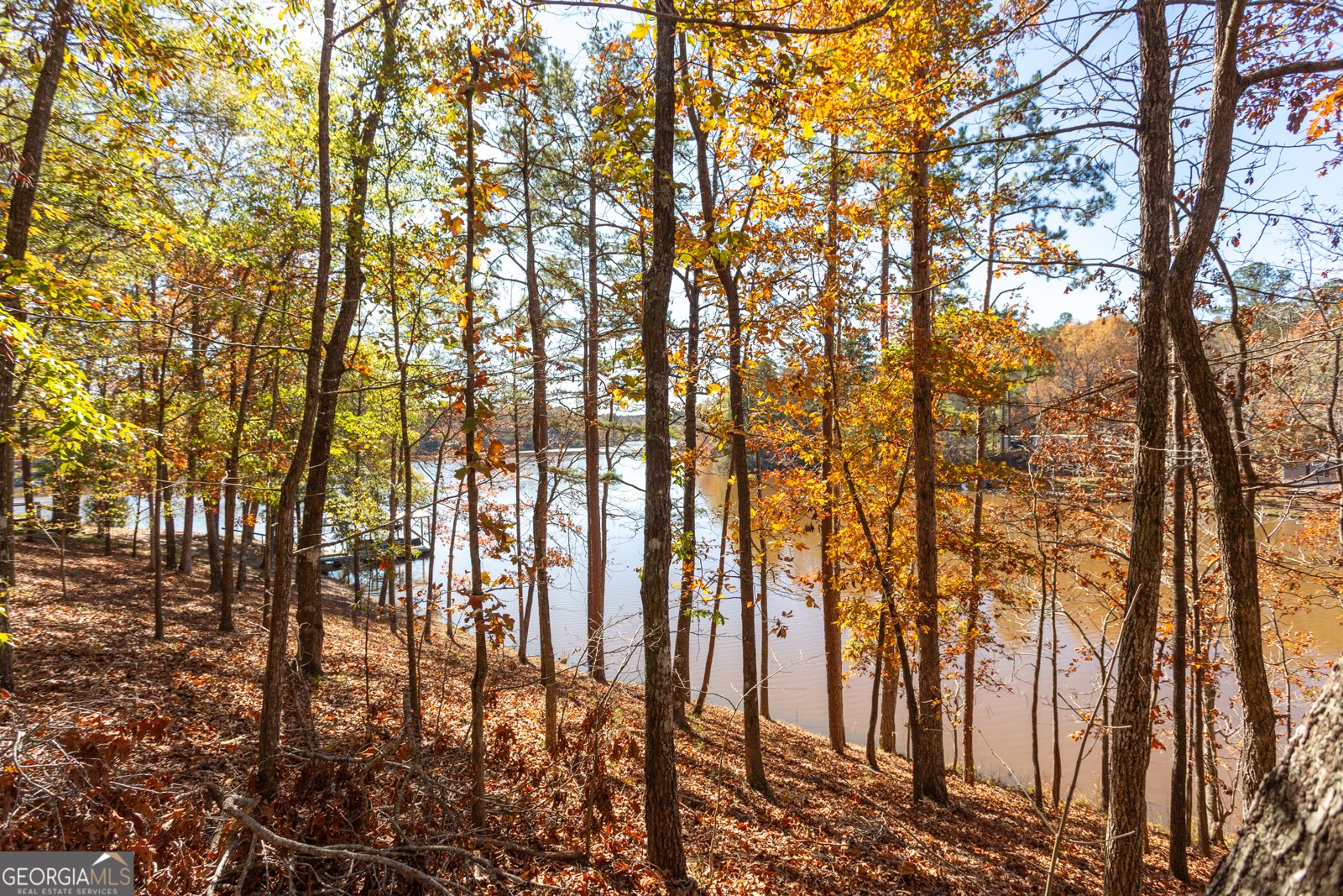 114 Lakeside Circle Delta - 21