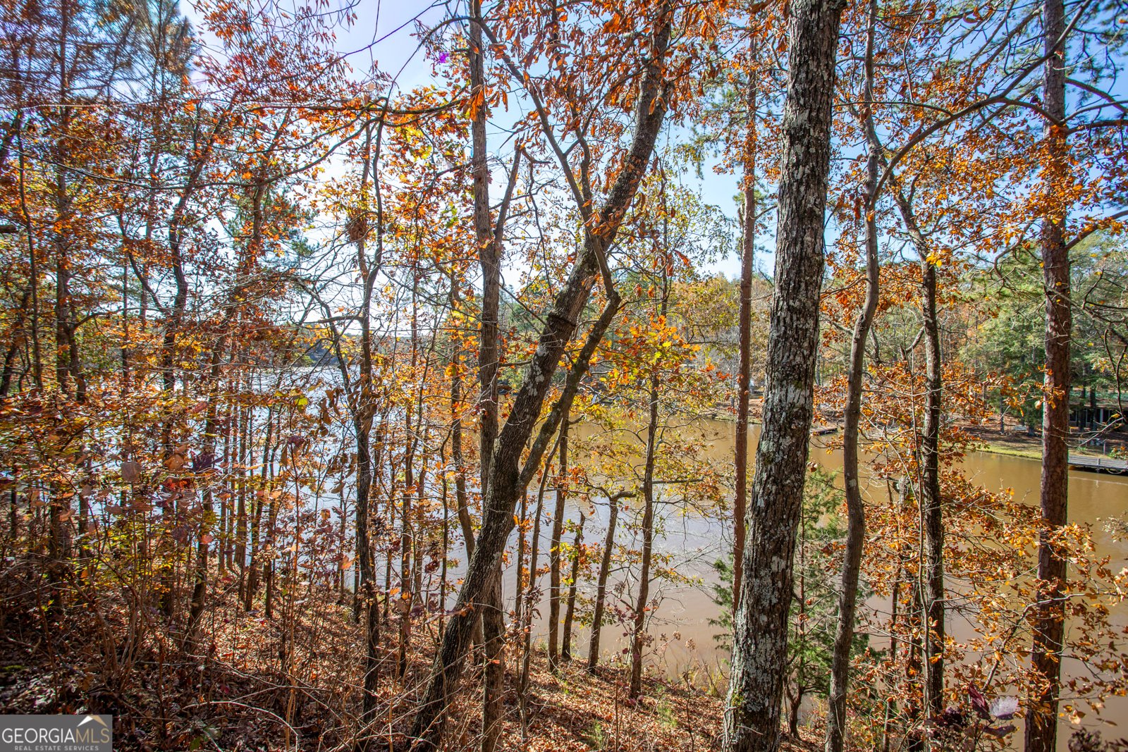 114 Lakeside Circle Delta - 22