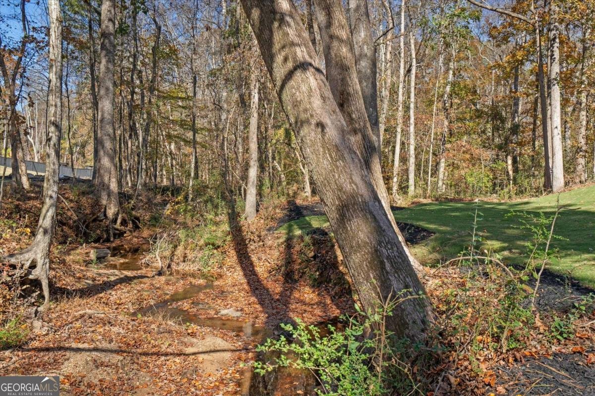 752 Crystal Bay Road Villa Rica - 50