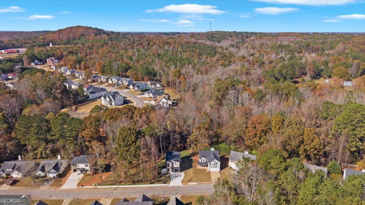 752 Crystal Bay Road Villa Rica - 58