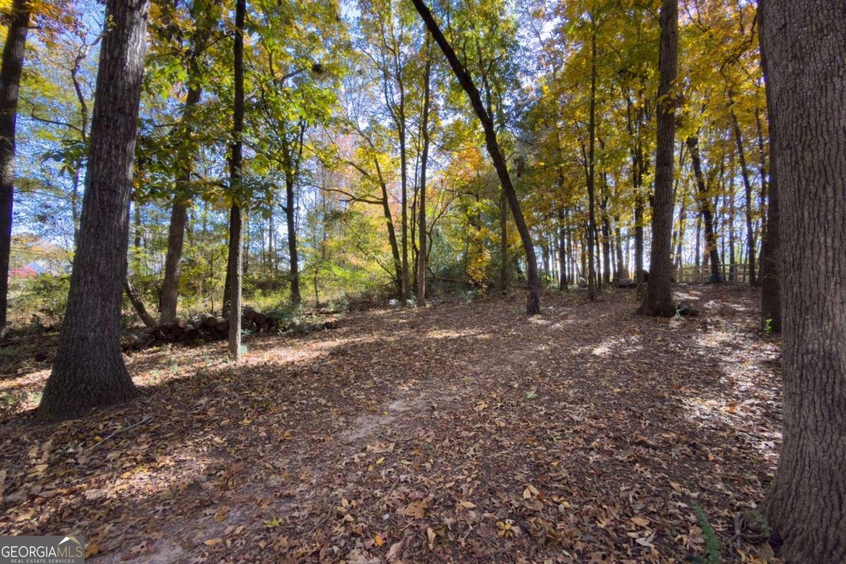 732 Jefferson Street Hoschton - 15