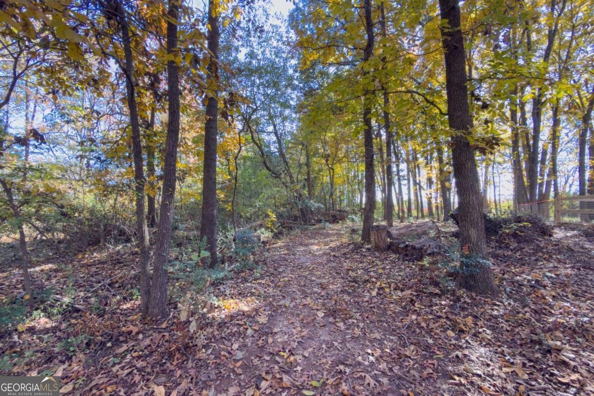 732 Jefferson Street Hoschton - 16