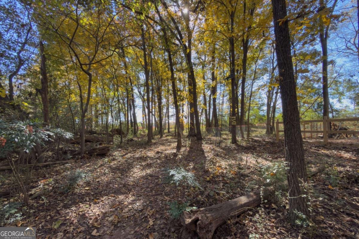 732 Jefferson Street Hoschton - 17