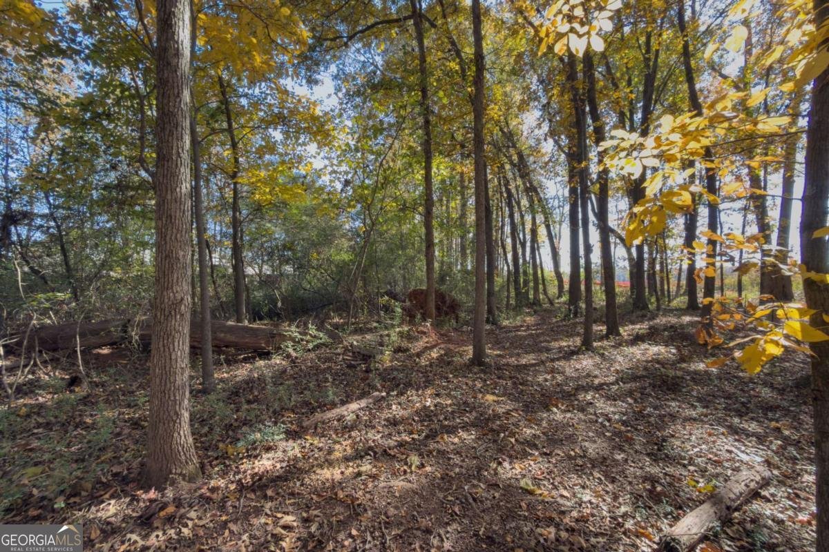 732 Jefferson Street Hoschton - 18