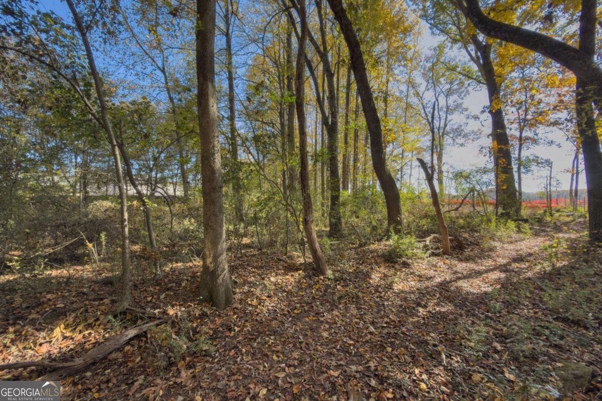 732 Jefferson Street Hoschton - 19