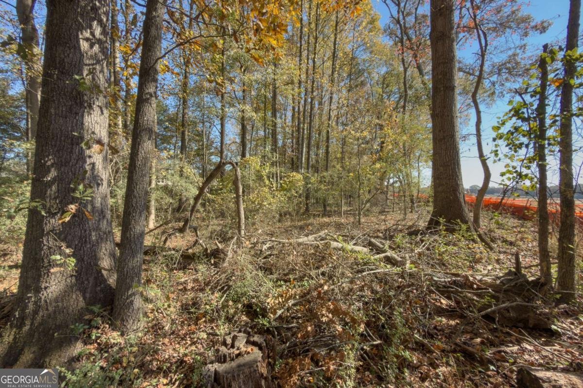 732 Jefferson Street Hoschton - 21