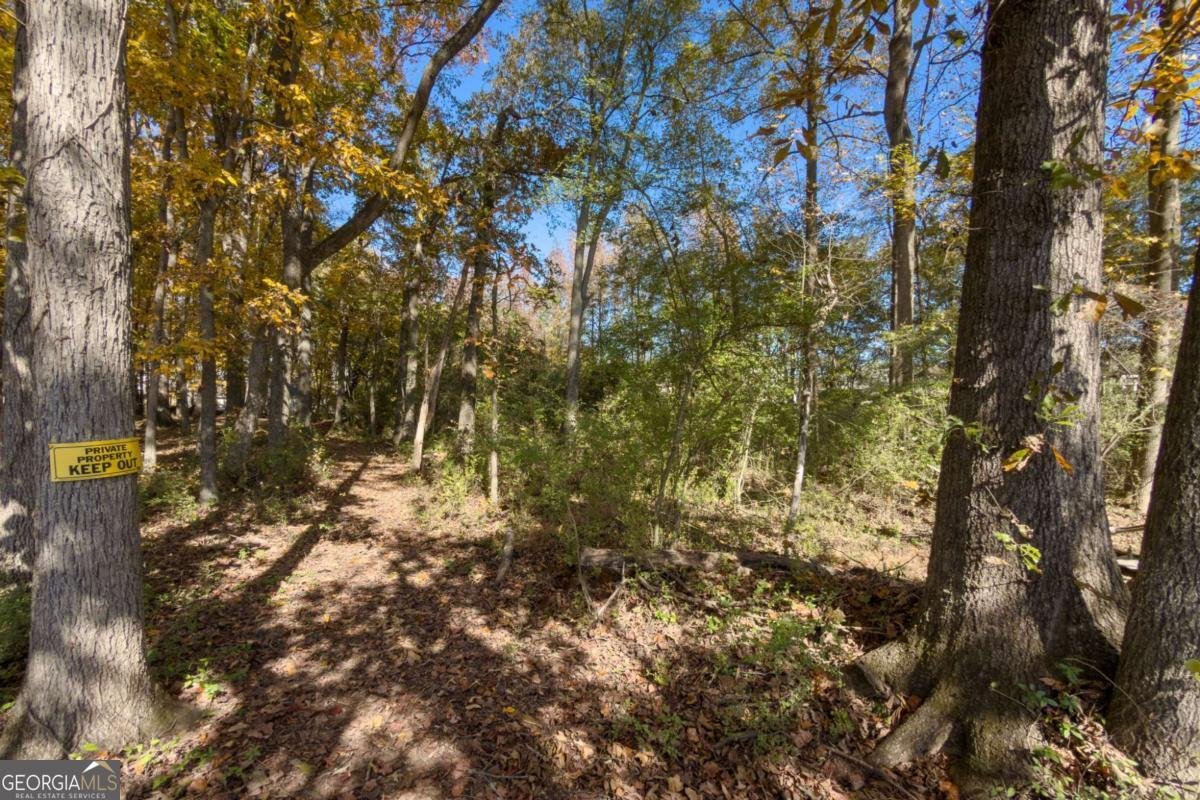 732 Jefferson Street Hoschton - 22