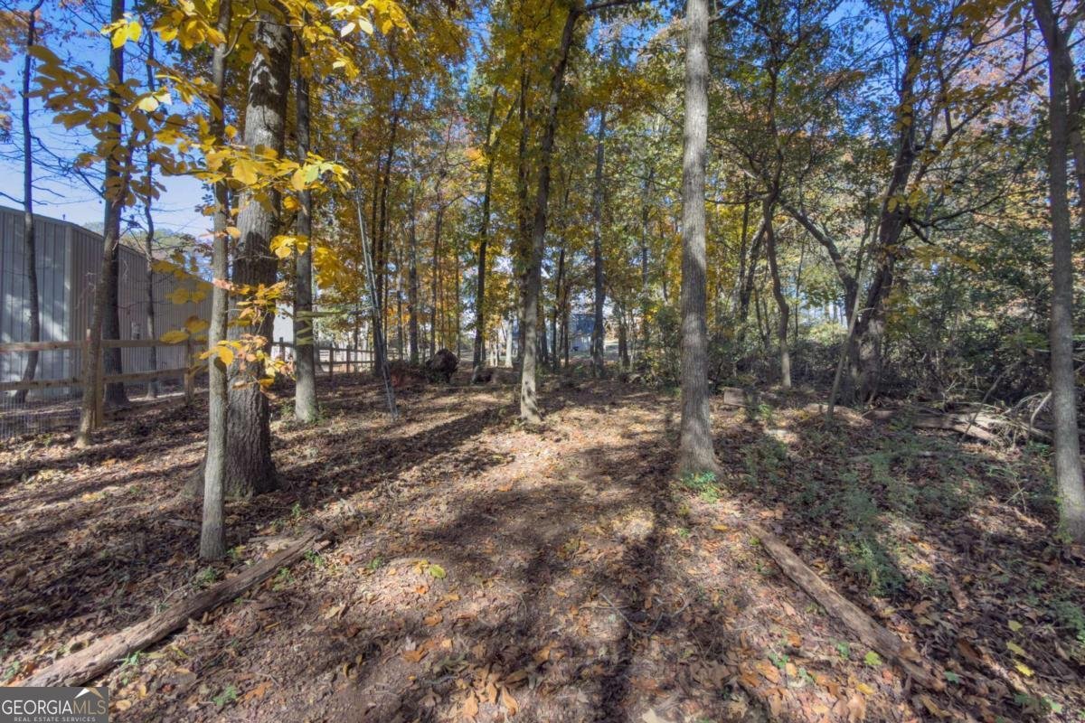 732 Jefferson Street Hoschton - 23