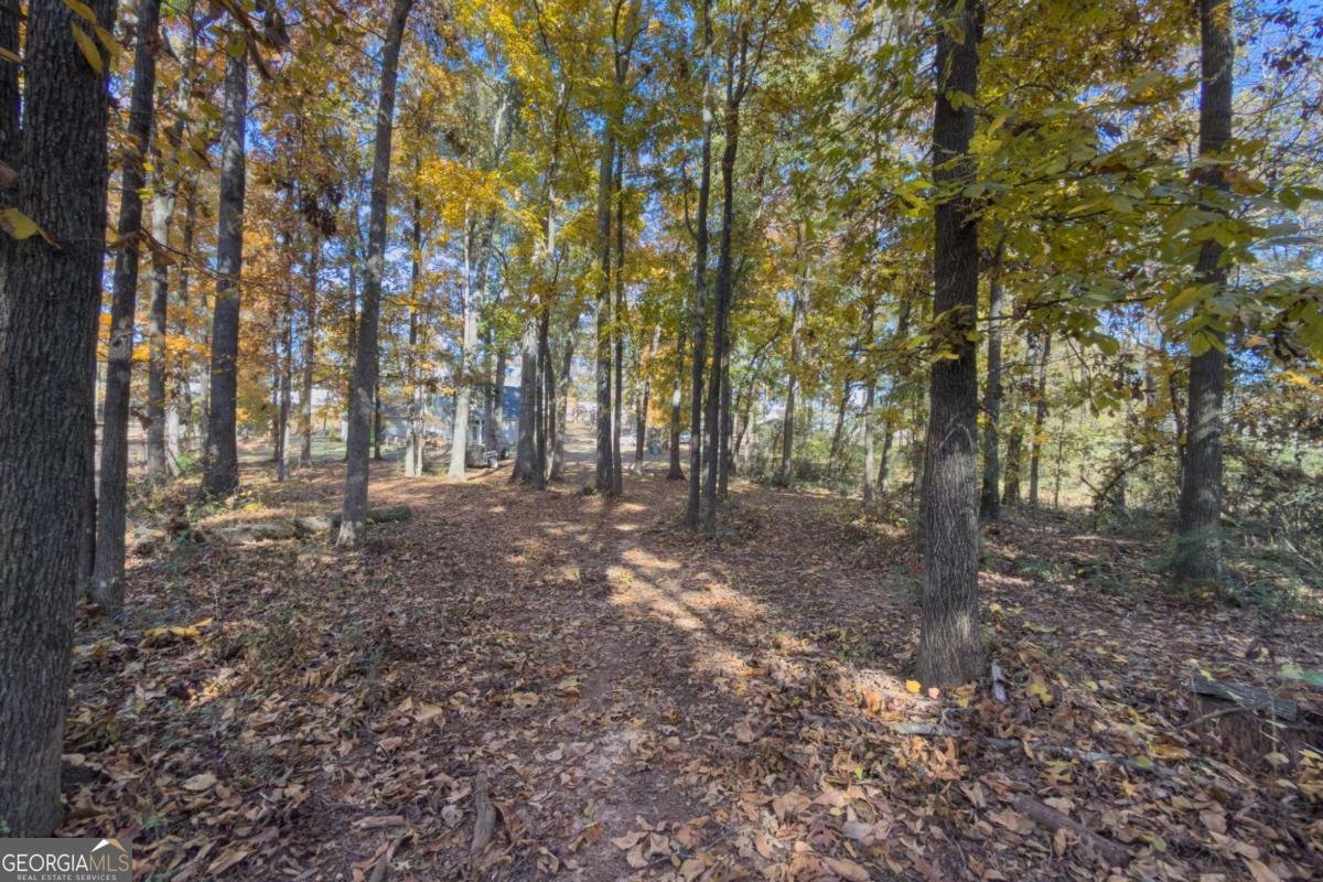 732 Jefferson Street Hoschton - 24