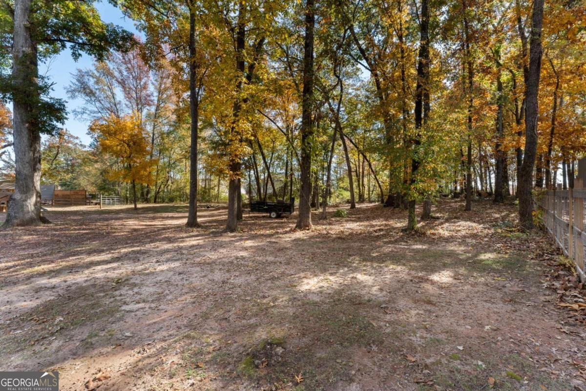 732 Jefferson Street Hoschton - 4