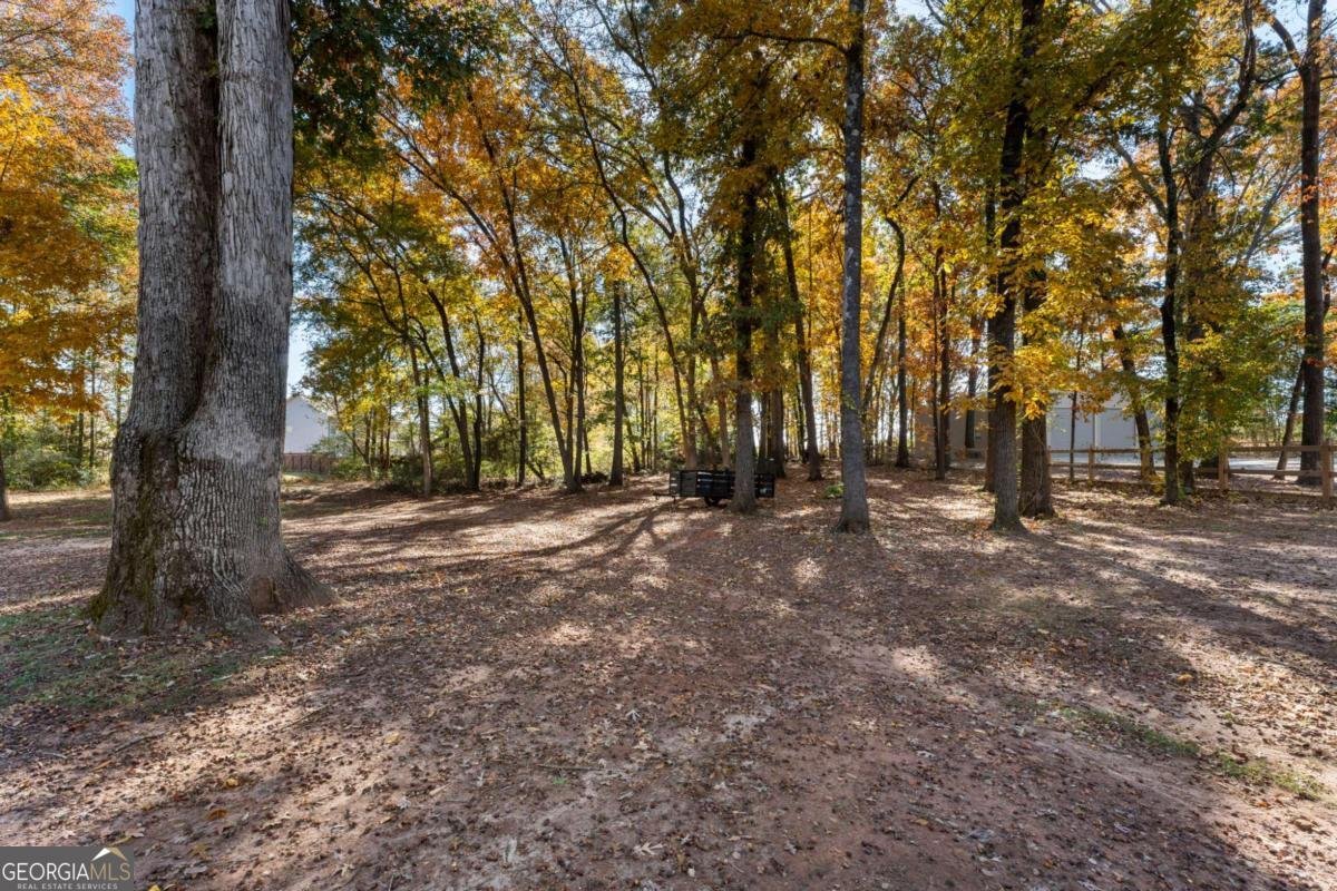 732 Jefferson Street Hoschton - 5